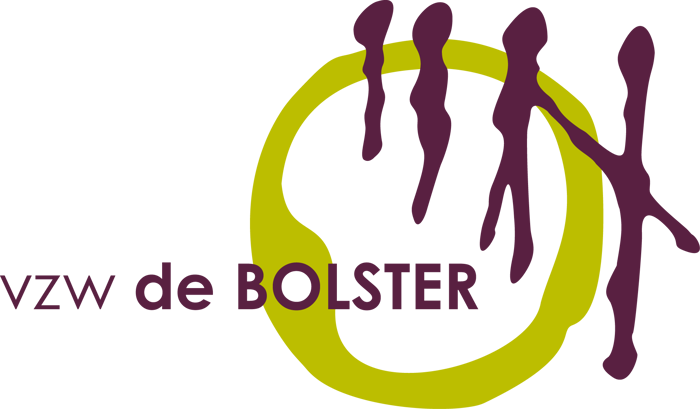 Logo Vzw De Bolster Kleur